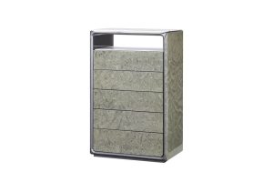 Cabinet (With 5 drawers)
