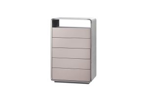 Cabinet (With 5 drawers)